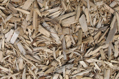 biomass boilers Cadishead